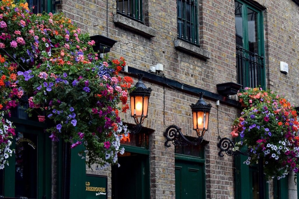 Dublin Pubi