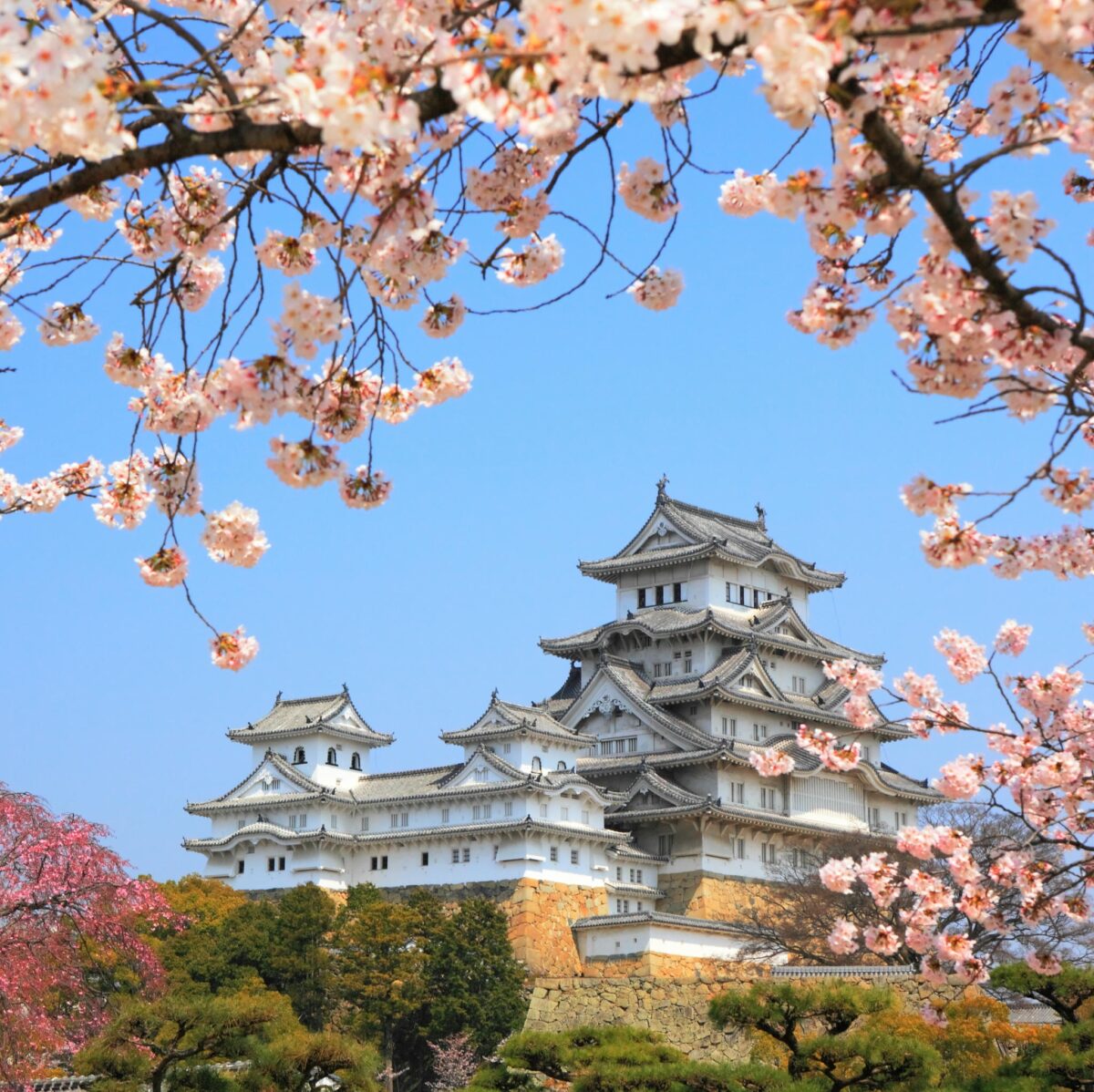 Japani