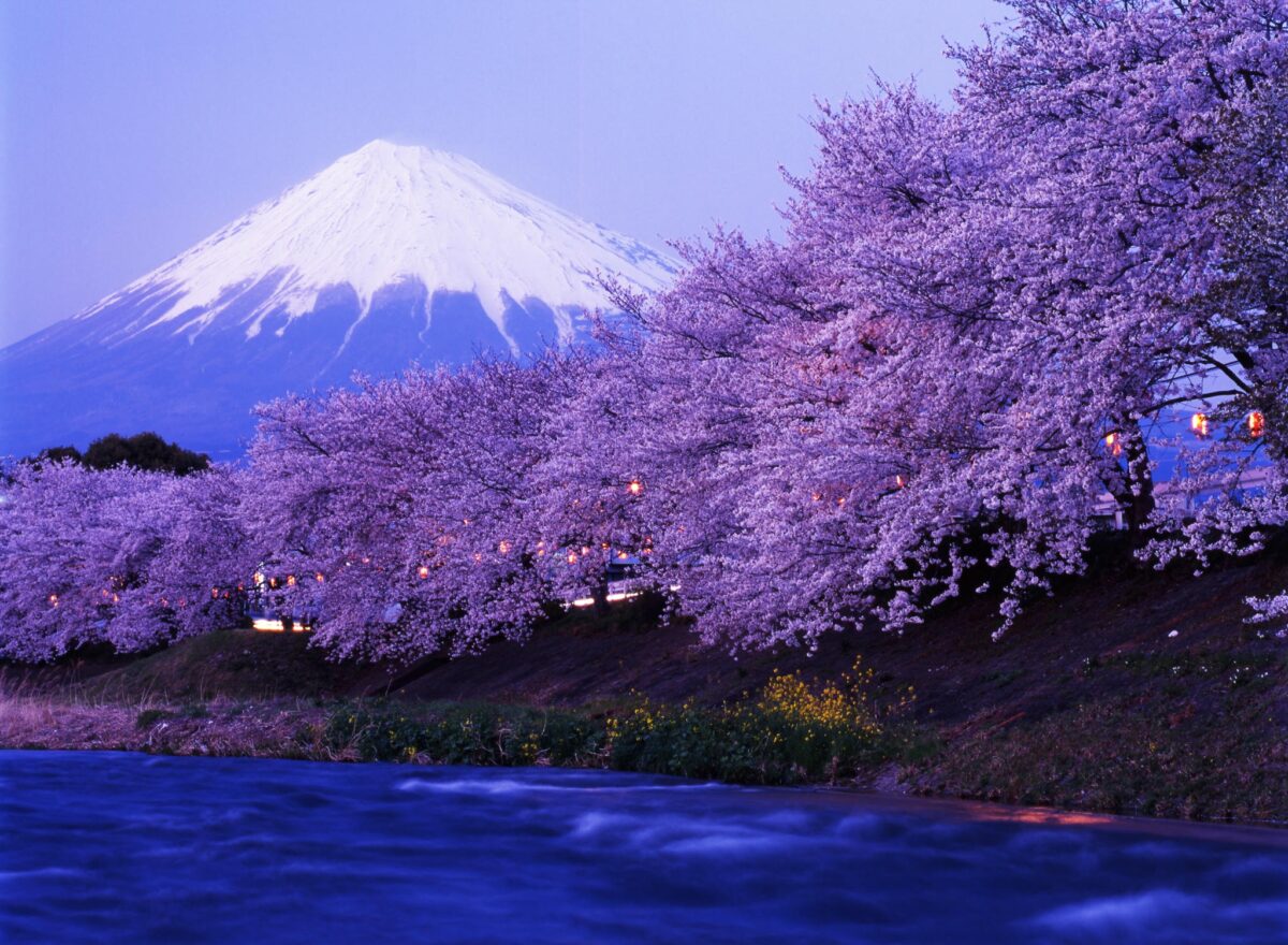 Japani