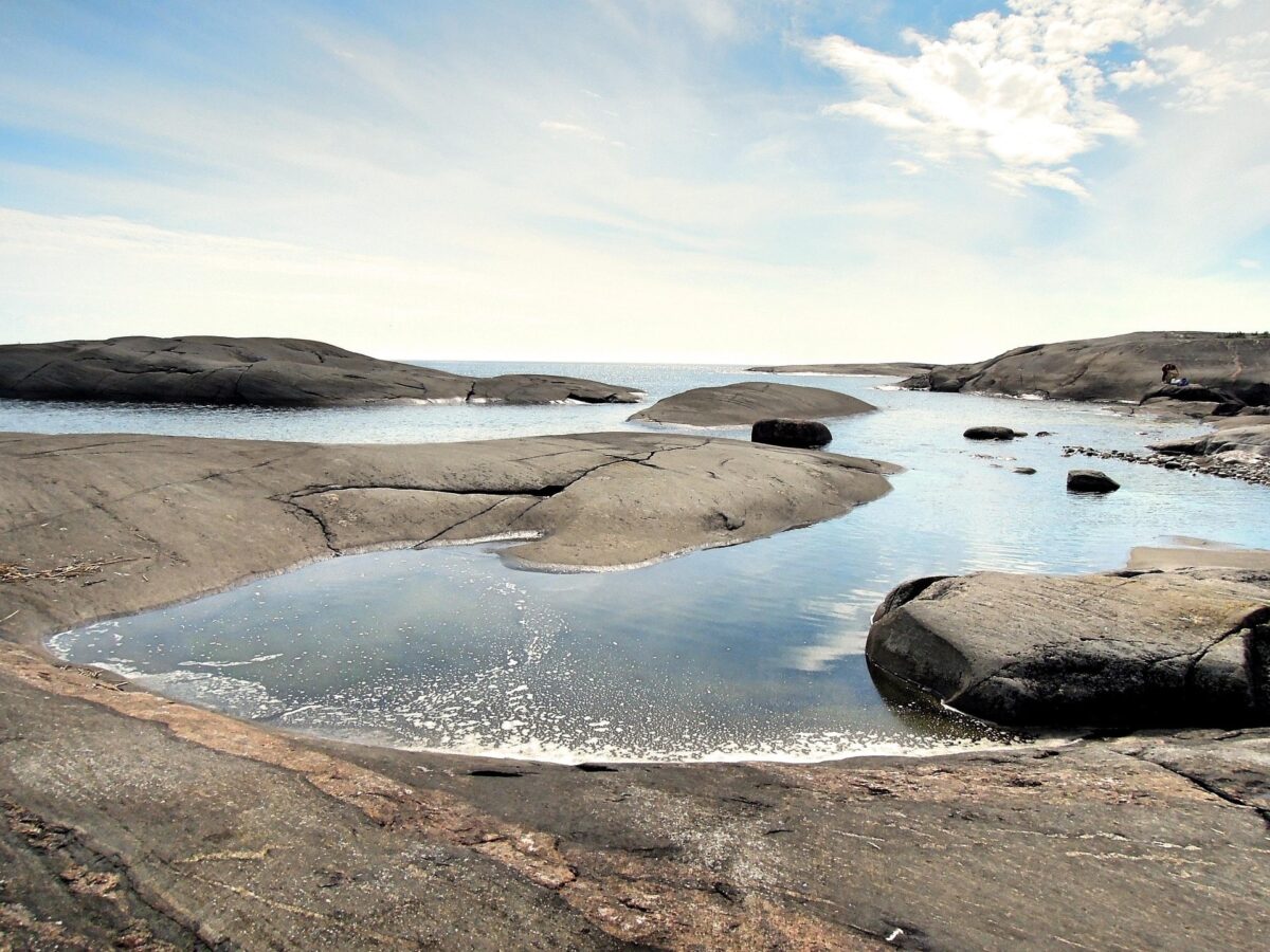 Rauma Kylmäpihlaja