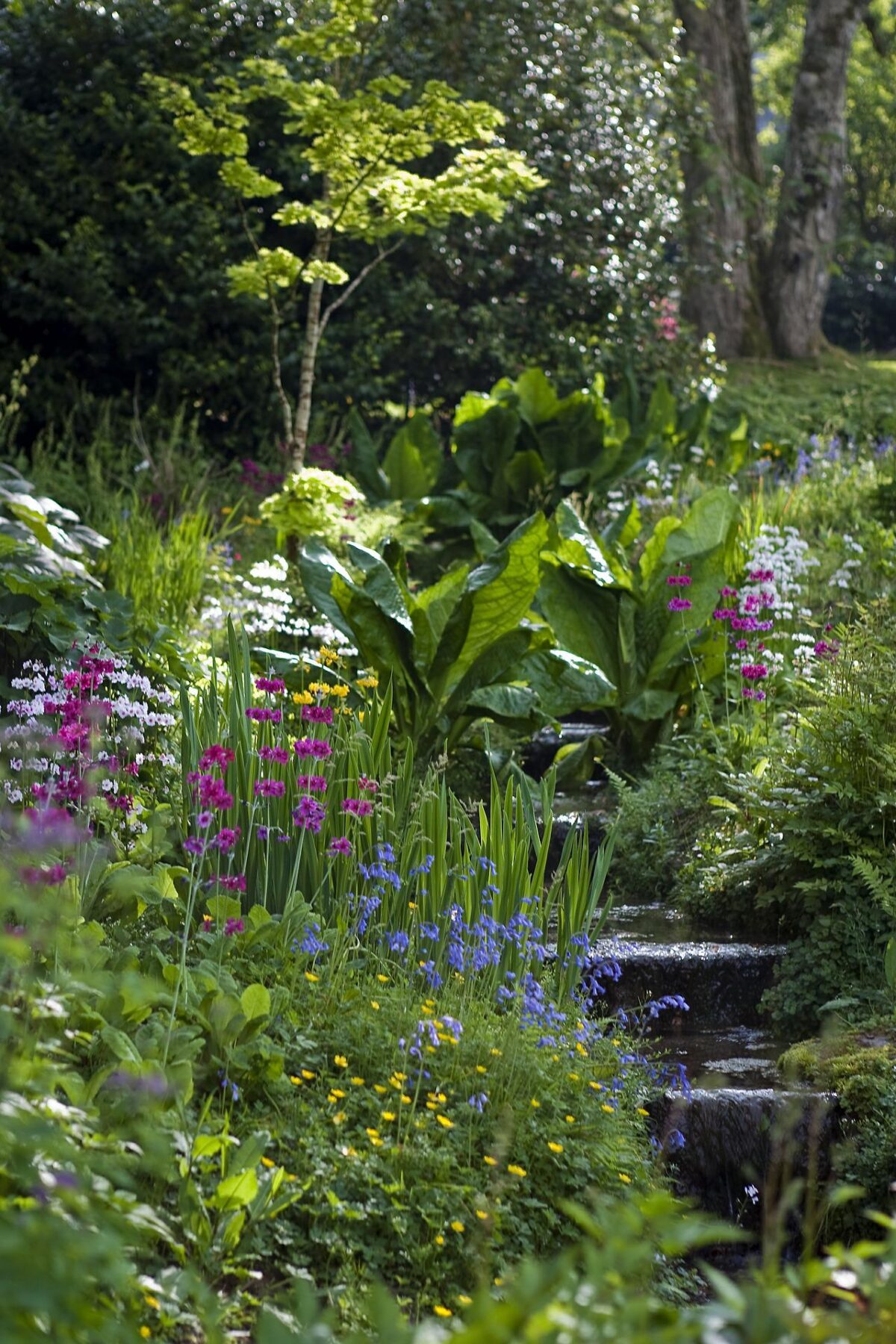 Chelsea hillside gardens