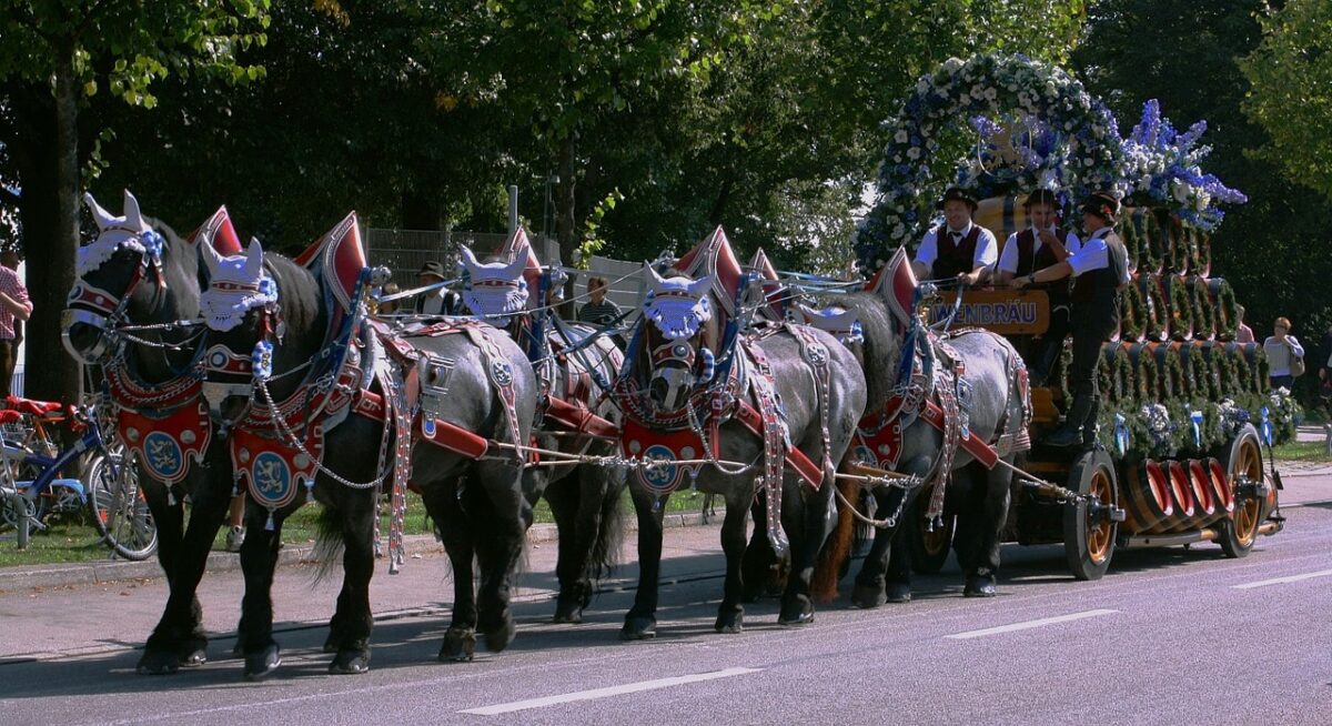 Munchen hevoset Oktoberfest